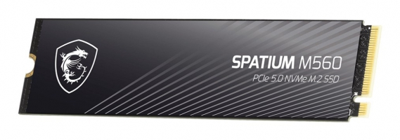 MSI SPATIUM M560 2TB PCIe 5.0 NVMe M.2 (S78-440Q940-P83)