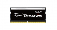 G.Skill RipJaws SO-DIMM 16GB (1x16) D5-4800 CL40 (F5-4800S4039A16GX1-RS)