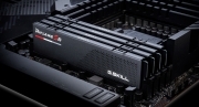 G.Skill Ripjaws S5 32GB (2x16GB) DDR5 5600 CL30 (F5-5600J3036D16GX2-RS5K)