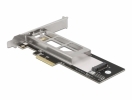 DeLOCK hard drive caddy PCI Express card for 1 x M.2 NMVe SSD (47003)