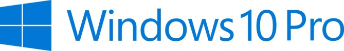 DSP Windows Professional 10 64bit elektronska licenca