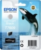 ČRNILO EPSON Č-LIGHT LIGHT BLACK 25,9ML ZA SC-P600 (C13T76094010)