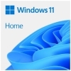 FPP Microsoft Windows Home 11 slovenski USB (HAJ-00101)