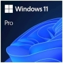 Microsoft Windows Pro 11 FPP angleški USB (HAV-00163)